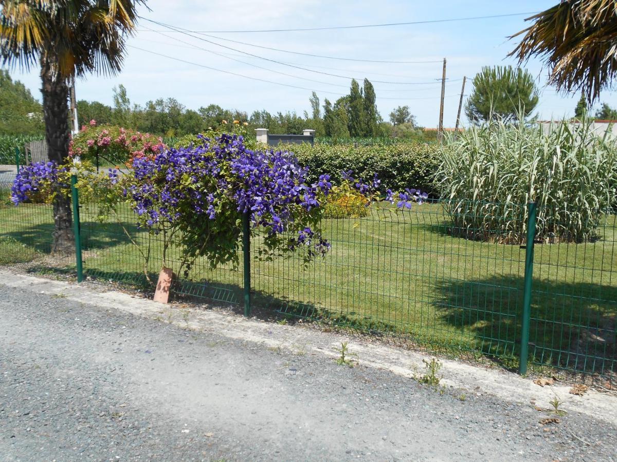 MARAIS POITEVIN pêche ,barque, vélos, wifi, linge, cheminée, cuisine La Taillee Exterior foto
