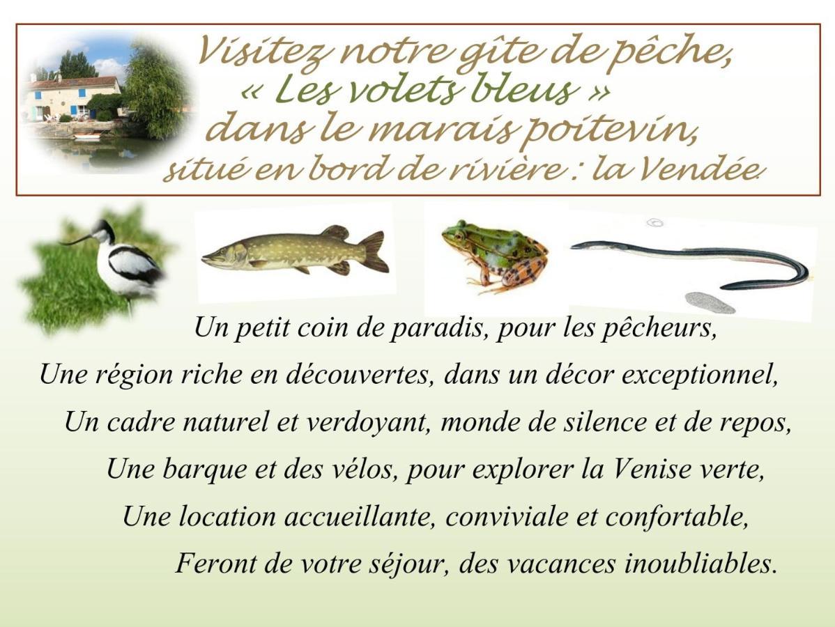 MARAIS POITEVIN pêche ,barque, vélos, wifi, linge, cheminée, cuisine La Taillee Exterior foto