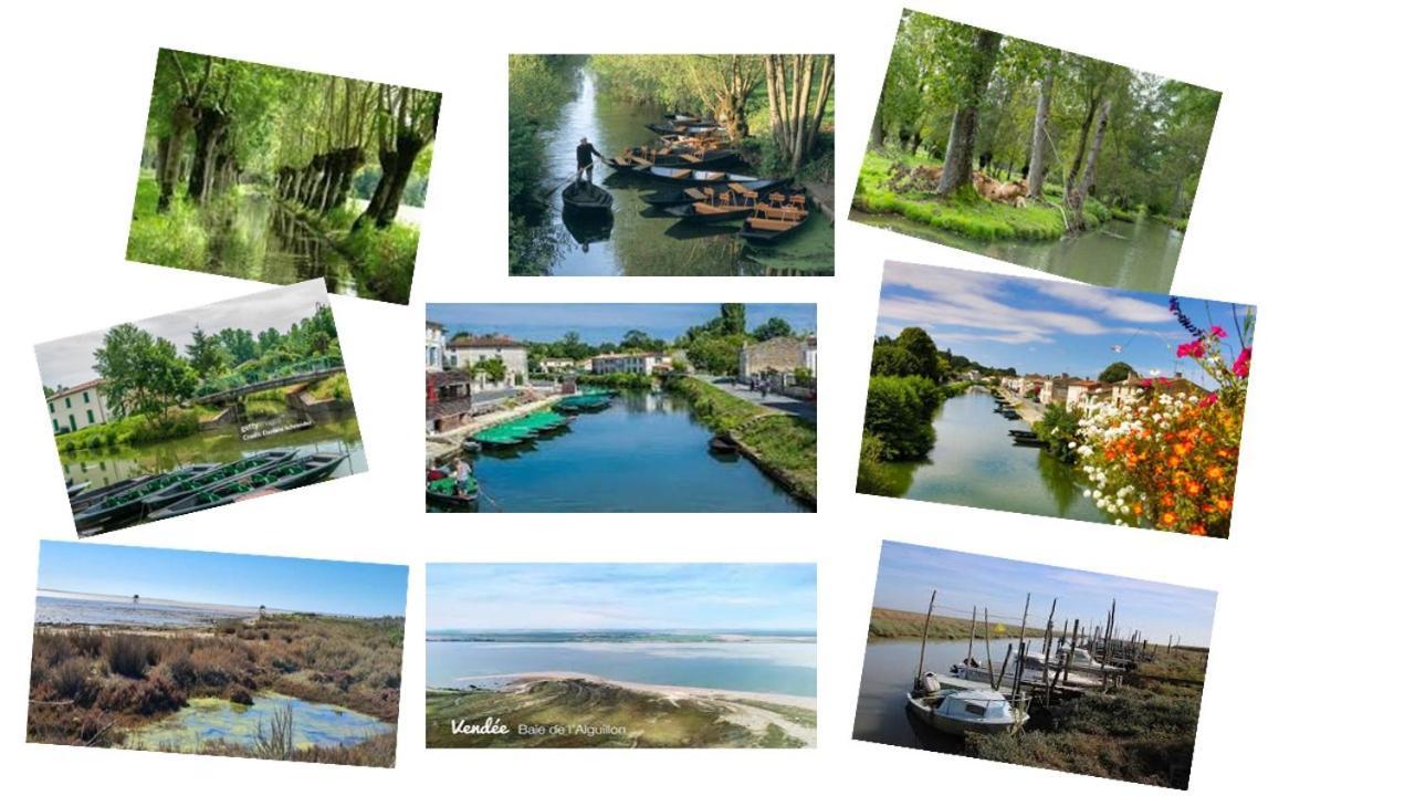MARAIS POITEVIN pêche ,barque, vélos, wifi, linge, cheminée, cuisine La Taillee Exterior foto